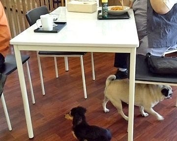 Huwan Cafe ヒューワンカフェ 地図 写真 小倉北区 カフェ ぐるなび