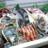 旬鮮市場 Gyoぎょ魚 の画像