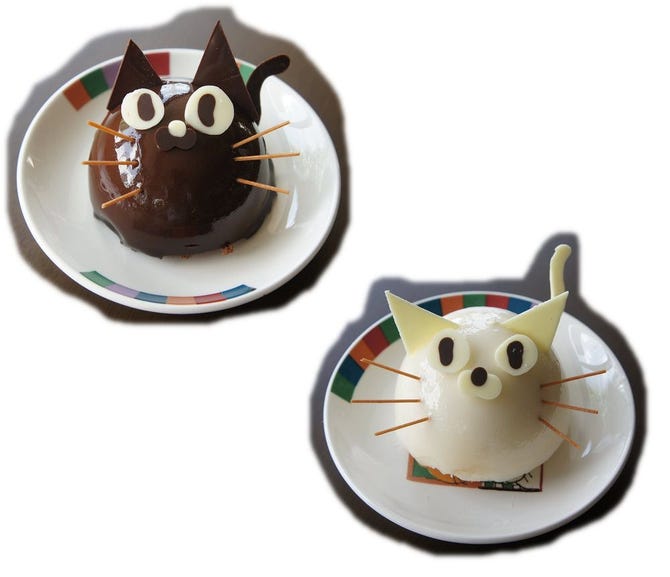 ねこカフェ もふもふ 地図 写真 松本 カフェ ぐるなび