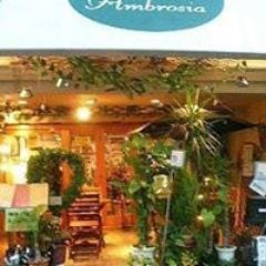 カフェ＆バー アンブロジア 東大阪 の画像