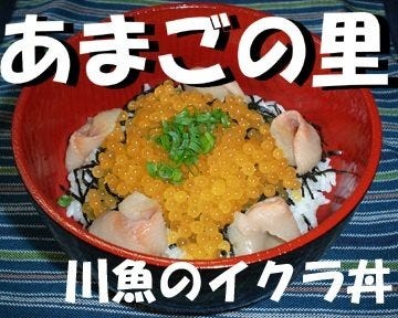 あまごの里 地図 写真 八幡浜 大洲 西予 郷土料理 ぐるなび