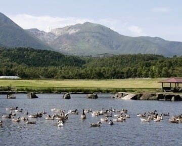 九重やまなみ牧場 地図 写真 玖珠 九重 和食その他 ぐるなび