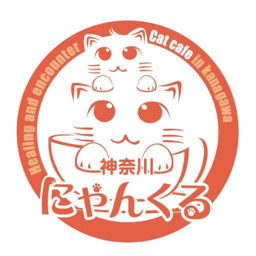 猫カフェ にゃんくる 蒲田店 地図 写真 蒲田 カフェ ぐるなび