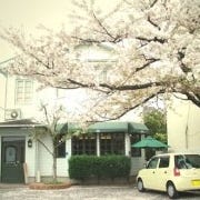 cafe 桜亭 の画像
