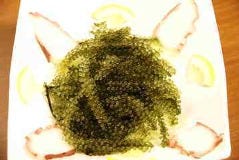 埼玉県でおすすめな沖縄料理店 沖縄料理が食べられるお店