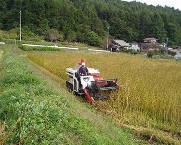 信州白樺湖そば処朝日ヶ丘