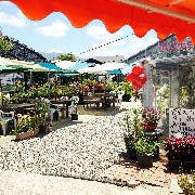 土方洋蘭イチゴ園カフェ の画像
