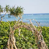 島野菜カフェ リハロウビーチ の画像