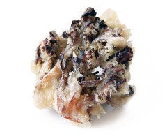 天婦羅 ほり川 ホテルニューオータニ店_舞茸