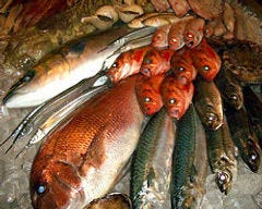 山陰海鮮 炉端かば 出雲駅前店 