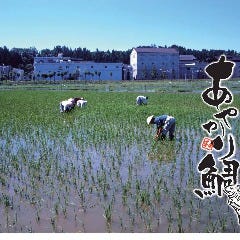 越後地酒と炭火旬彩 へぎそば あやかり鯛