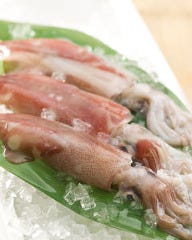 博多もつ鍋 馬肉 九州自慢 沼津店