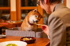 Restaurant 諏訪坂