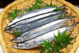 秋刀魚【北海道】