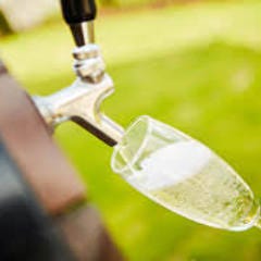 イタリア直送フレッシュな樽生スパークリングワインが飲み放題でお楽しみいただけます
