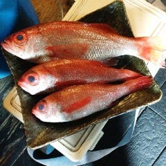 平塚居酒屋 にかいのおく_大磯産のどぐろ【神奈川県】