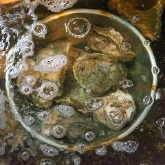 平塚居酒屋 にかいのおく_地元で獲れた食材！活きたまま入荷しているので食感も◎