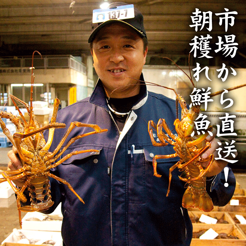 九州直送朝獲れ鮮魚は、熟練の職人が獲れたてを捌いて提供♪