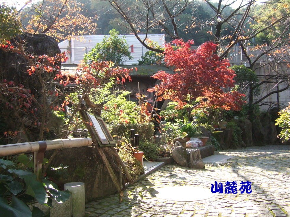 たるの店 山麓苑 岸和田 和泉 泉佐野 焼肉 ぐるなび