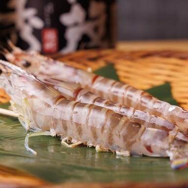 立ち食い寿司 極 名駅4丁目店_市場直結!妥協なき「旬」の目利き