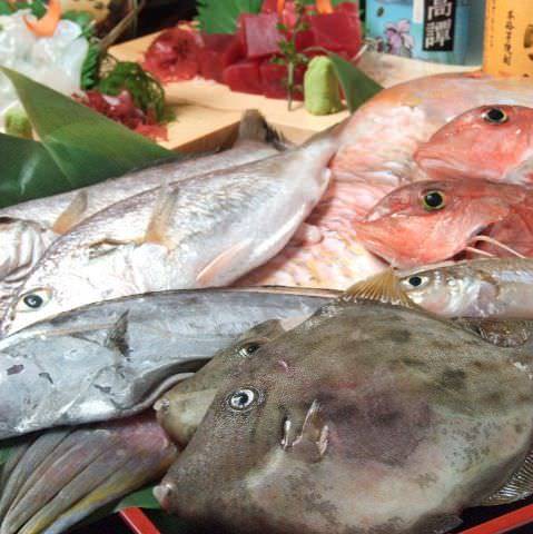 魚でん 海老名店 海老名 居酒屋 ぐるなび