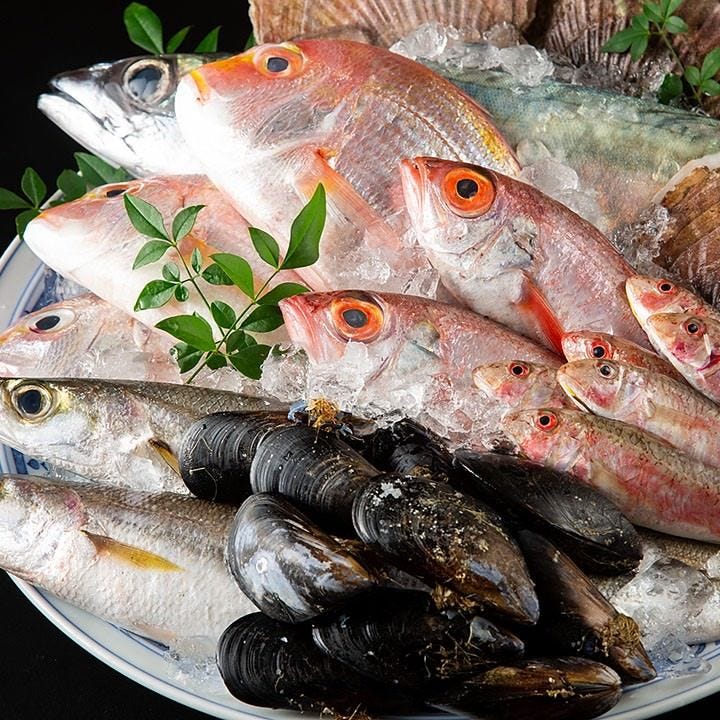 長浜市場から直送した新鮮魚介をふんだんに使用した逸品がズラリ