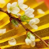 【1月～2月限定】鮮魚のお刺身6種盛り～新春の西多摩食材～肉料理〜にぎり寿司等 季節の特撰会席『つばき』