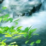 【5月～6月限定】西多摩食材の初夏の陶板焼き〜鮮魚の刺身～肉料理　新緑の『季節の会席』