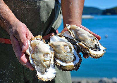 三陸直送 かき小屋 飛梅 神田西口店 神田 牡蠣料理 ぐるなび
