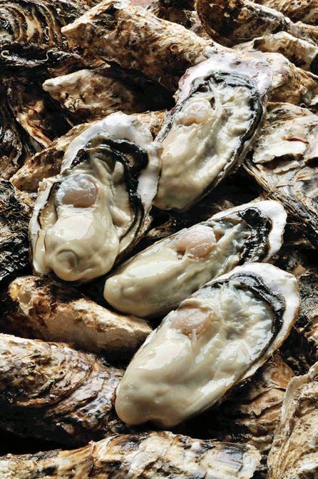 三陸直送 かき小屋 飛梅 神田西口店 神田 牡蠣料理 ぐるなび