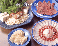 土佐料理 司 高知本店