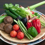 [減農薬高知野菜]

全国一位を誇る日照時間と、清らかな水源に恵まれた高知県より採れたて季節の旬野菜を直送されます。
減農薬野菜が中心で安心、安全、美味しさを追求します。