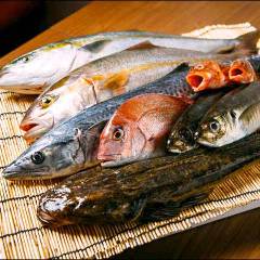 魚と日本酒 uchi 