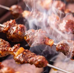 卓上ロースター機×50種類の串焼き 羊不同烤小串