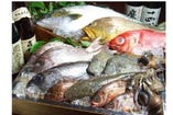 産地直送など新鮮な魚料理を中心とした落ち着いた雰囲気でアットホームな日本の味の店。
