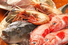 魚信