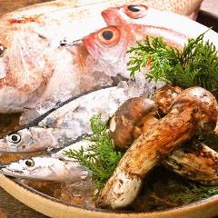 酒と魚 前見屋 薬研堀店