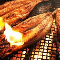 いろり家 ホルモン 八丁堀店