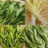 料理長厳選の旬の野菜を使用【中国野菜】