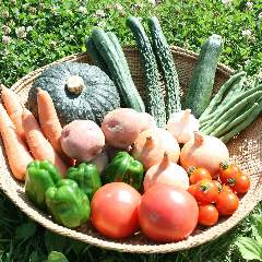 提携農家からの新鮮野菜を仕入れ