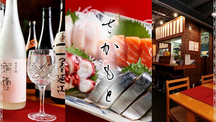 居酒屋さかもと本厚木 本厚木 厚木 居酒屋 Gurunavi 日本美食餐廳指南 居酒屋さかもと本厚木 本厚木 厚木 居酒屋 Gurunavi 日本美食餐廳指南