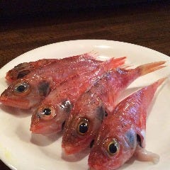 居酒屋 半蔵2 ハンゾウツー 沼津南口 沼津 居酒屋 ぐるなび