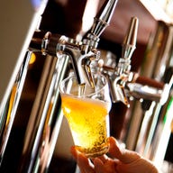 IRISH PUB CELTS(ケルツ) 八重洲店_★全コース対象★お会計総額(通常価格)より20%OFF!!