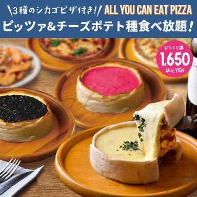 個室 チーズ 食べ放題 新宿テラス 新宿東口駅前店  コースの画像
