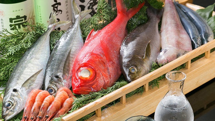 鮮魚は職人が毎朝市場に出向き、目で見て直接仕入れています