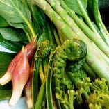 野菜も平塚で獲れた新鮮野菜を仕入れご提供します！