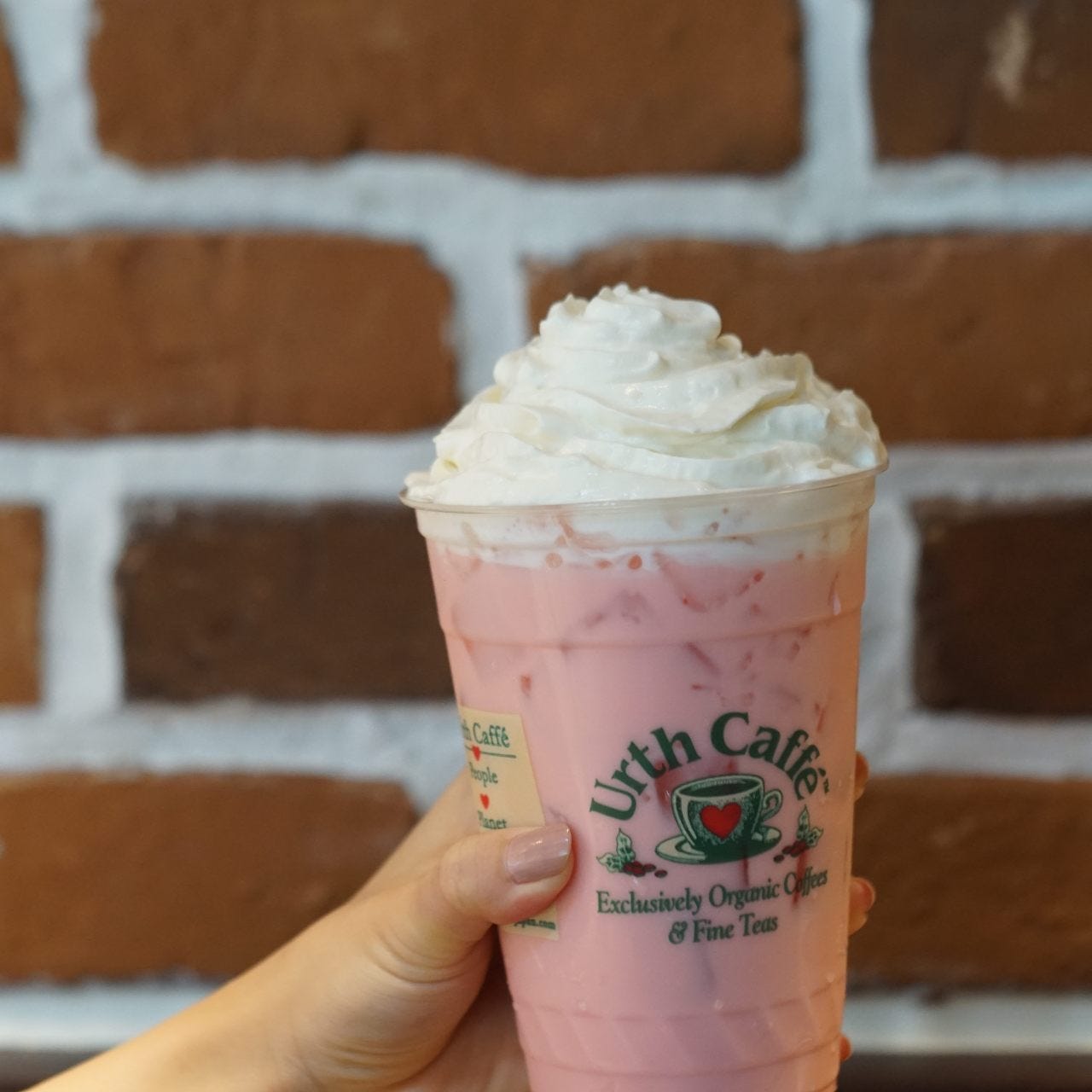 Urth Caffe 東急プラザ 表参道原宿店 原宿 カフェ ぐるなび Urth Caffe 東急プラザ 表参道原宿店 原宿 カフェ ぐるなび