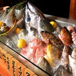 地元愛知師崎、長崎の五島、北海道など全国の漁港から毎日入荷！