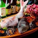 〈明石の昼網〉
活魚は甘み・食感ともに別格です