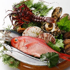 鮮魚は築地・豊洲市場から仕入れております